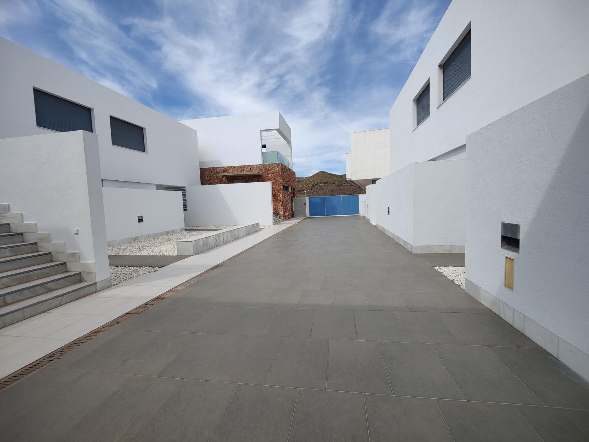 El Dragoncillo Del Cabo